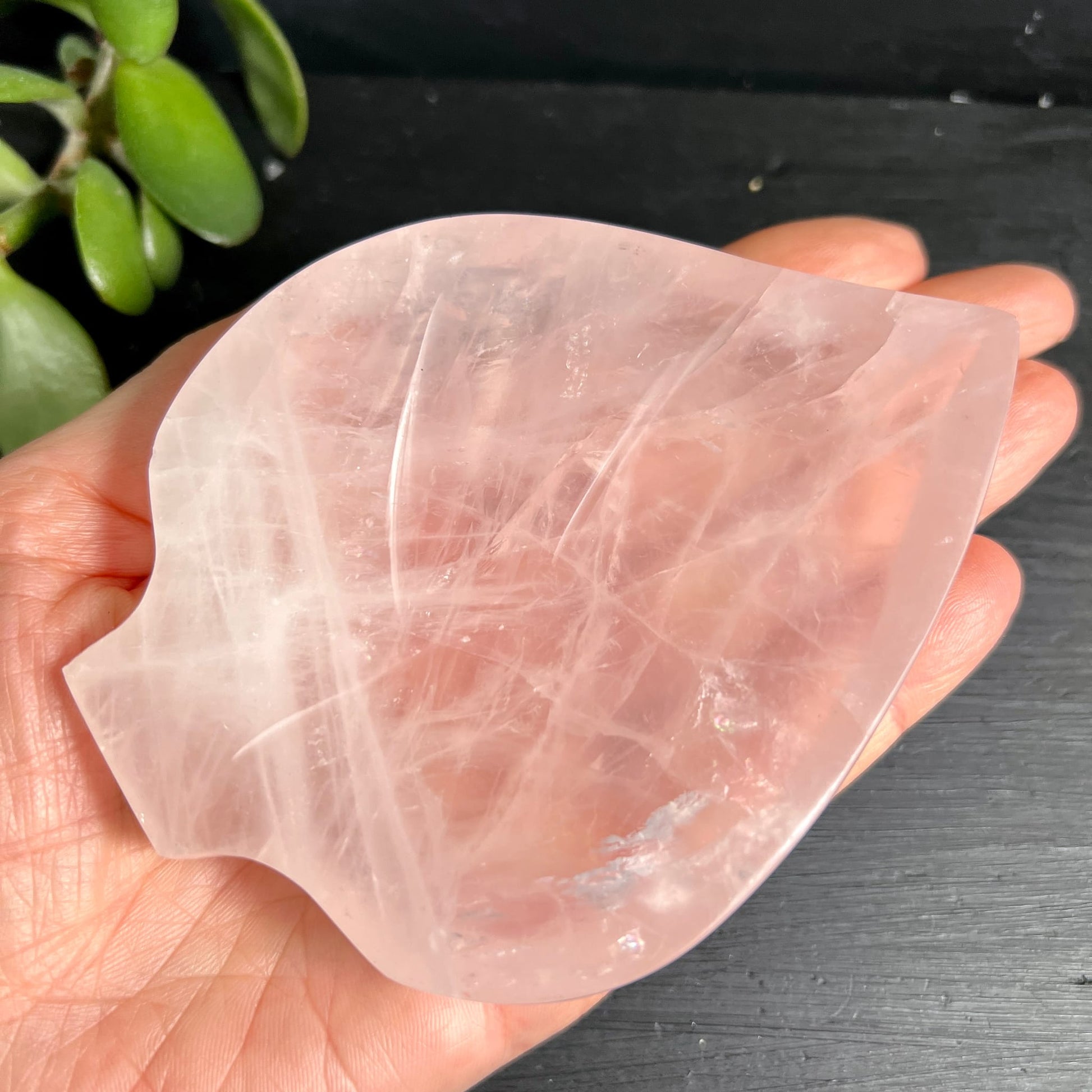 Rosenquarz Blattschale Unikat | große Handfläche | samtiges Rosa | durchscheinend | Happy Minerals