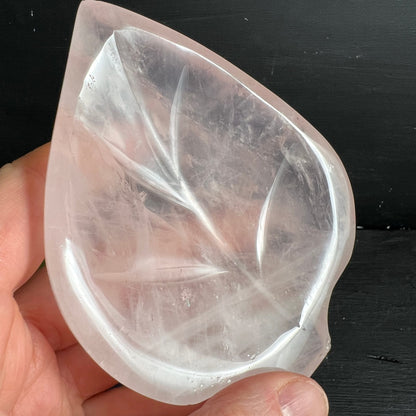 Rosenquarz Schale Madagaskar | Innenansicht in Hand | gravierte Blattadern | kristallklares Rosa | Happy Minerals