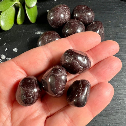 Rote Granat Trommelsteine aus Brasilien | Hand zeigt 4 polierte Edelsteine | Variante A | Happy Minerals