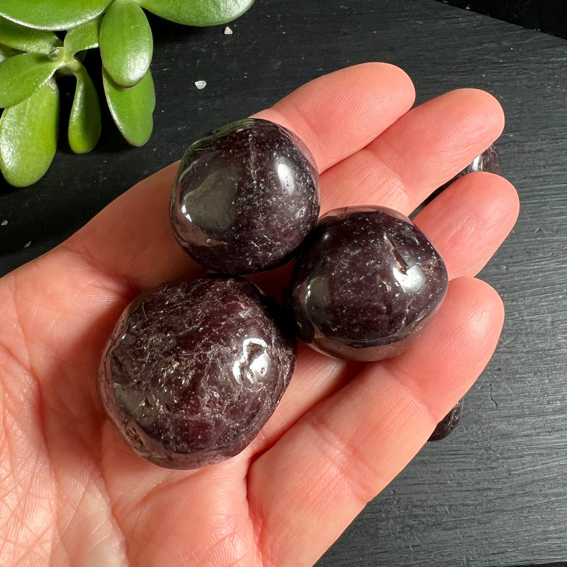 Brasilianische Granat Steine | 3 dunkelrote Trommelsteine in Hand | Variante B | Happy Minerals