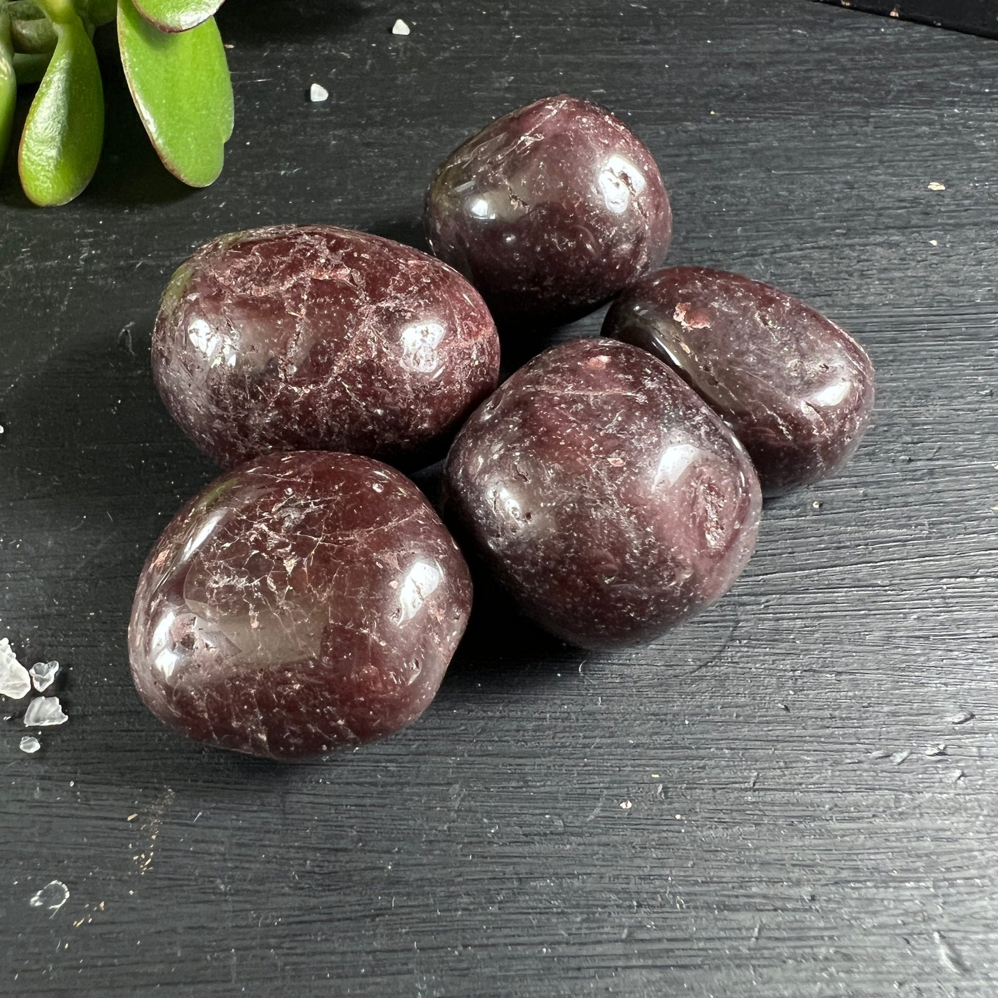 Granat Trommelsteine Gruppe | 5 große polierte Steine | Weinrote Farbnuancen | Happy Minerals