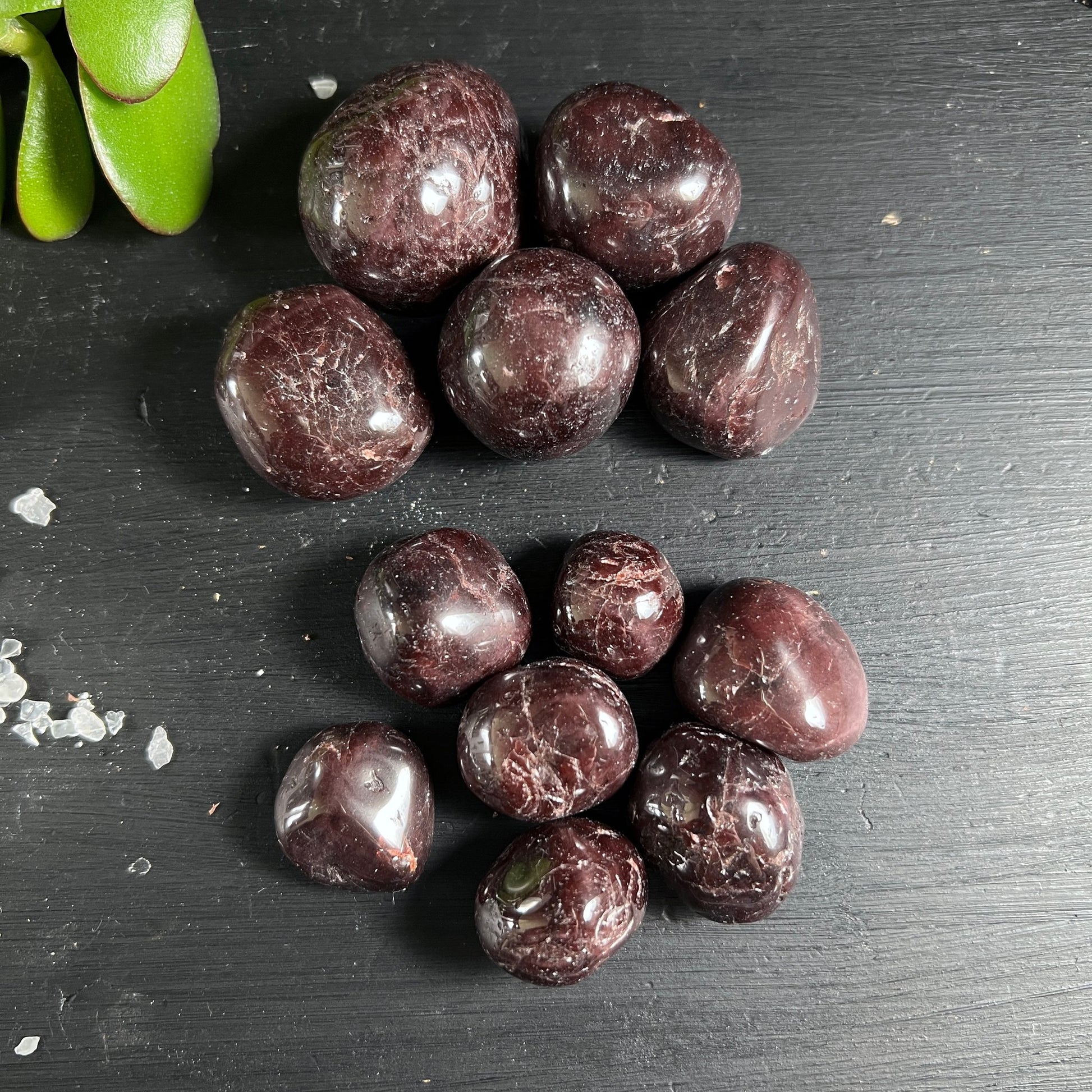 Roter Granat Trommelstein Sammlung | 12 polierte Edelsteine aus Bahia | Dunkle Holzoberfläche | Happy Minerals