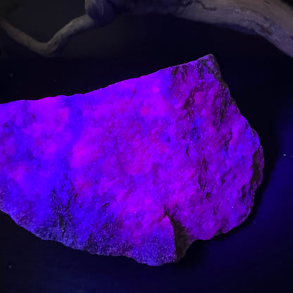 Rubin Kyanit Rohstein leuchtet violett-magenta unter UV-Licht, unregelmäßige flache Form, dunkle Schlieren | Happy Minerals