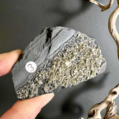 Goldener Pyrit im schwarzen Schungit, leuchtender Kontrast | Happy Minerals