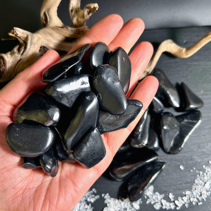 Polierte Schungit Trommelsteine in zwei Größen im Detail | Happy Minerals