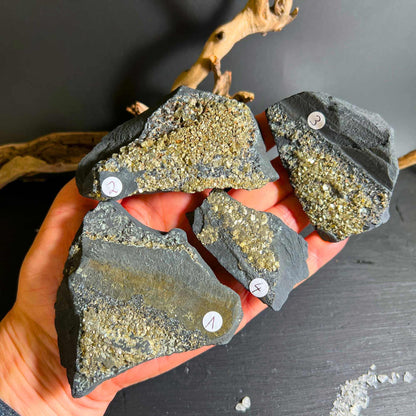Auswahl 1–4 Pyrit-Schungit-Steine mit natürlicher Struktur | Happy Minerals