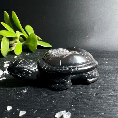 Schwarzer Achat Schildkröte | glänzend poliert | Brasilien | Kristallquarz Einschluss | Happy Minerals
