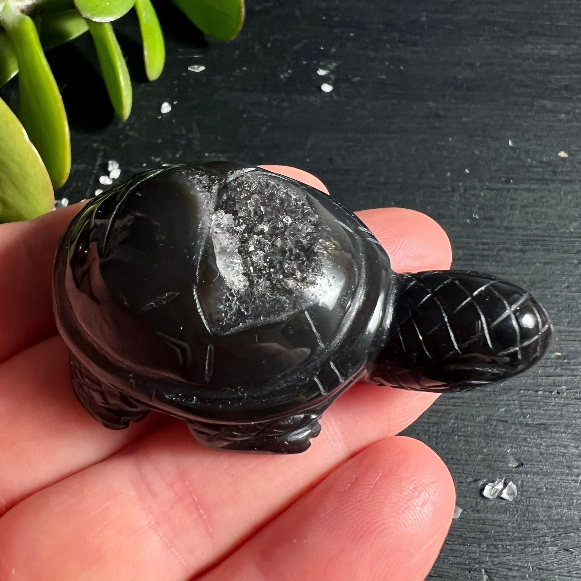 Schwarzer Achat Schildkröte | Hand Größenvergleich | kompakt geschnitzt | Brasilien | Happy Minerals