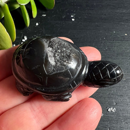 Schwarzer Achat Schildkröte | Hand Größenvergleich | kompakt geschnitzt | Brasilien | Happy Minerals