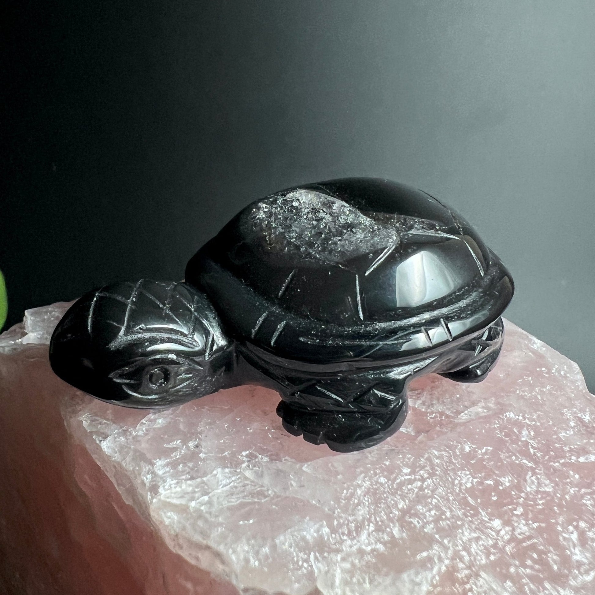 Schwarzer Achat Schildkröte | rosa Quarz Basis | detailliert geschnitzt | Brasilien | Happy Minerals