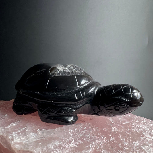 Schwarzer Achat Schildkröte | Seitenansicht | kunstvolle Gravuren | Brasilien Edelstein | Happy Minerals