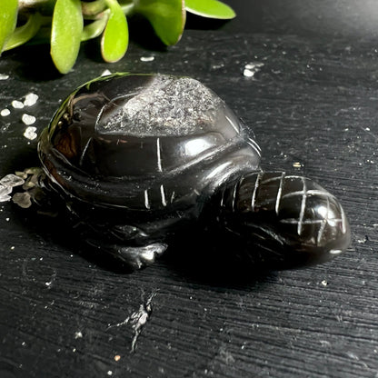 Schwarzer Achat Schildkröte | Sukkulente Deko | atmosphärisch beleuchtet | Brasilien | Happy Minerals