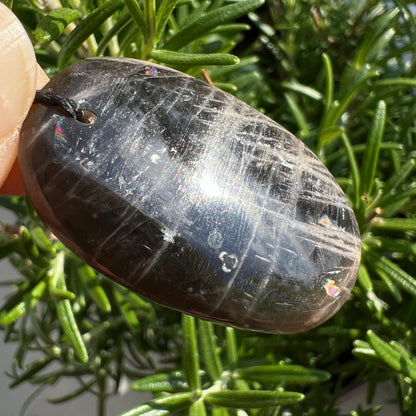 Schwarzer Mondstein Anhaenger oval poliert, dunkelgraue Flaechen mit feinen Kratzstrukturen und Regenbogenschimmer | Happy Minerals