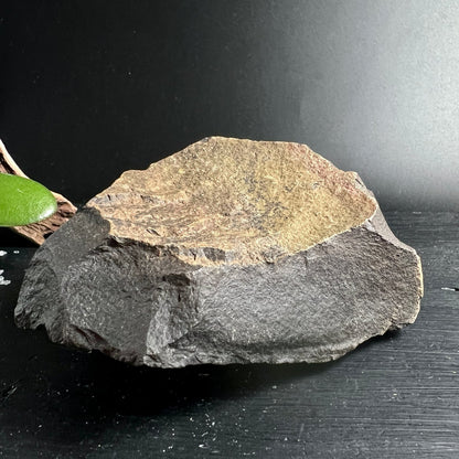 Onyx Rohstein | warme braun-beige Oberseite | schwarze Basis | natürliche Farbschichten | Happy Minerals