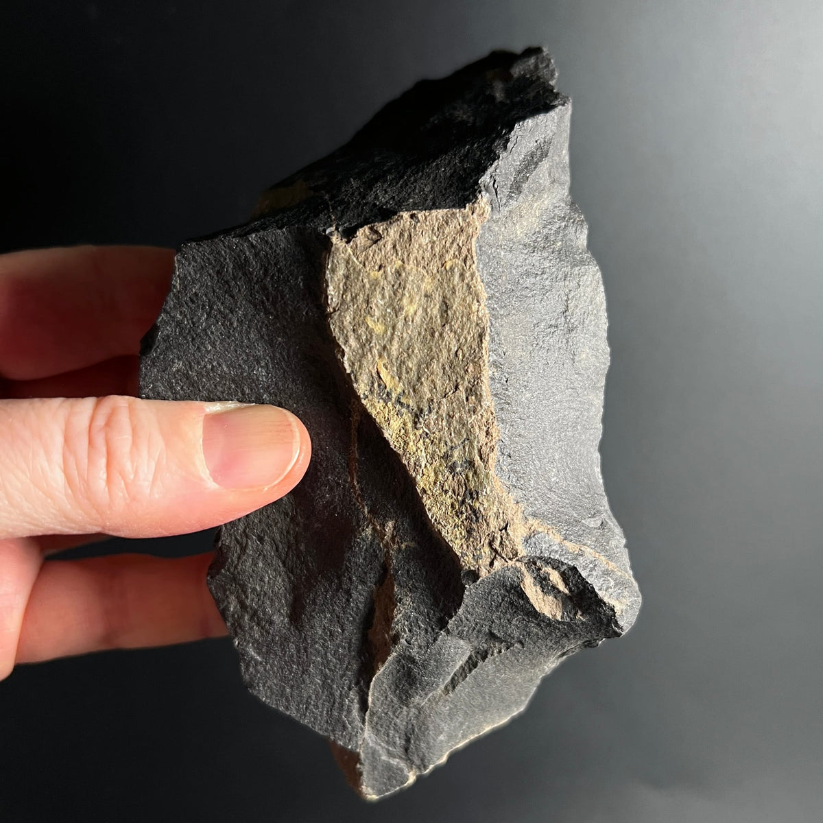 Roher Onyx Stein mit tiefschwarzer und grauer Zone, gelblichem Peridot-Einschluss, unpoliert | Happy Minerals