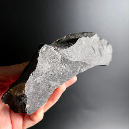 Roher Onyx Stein mit tiefschwarzer und hellgrauer Zone, raue Bruchkanten, laenglich | Happy Minerals