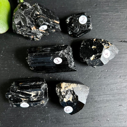 Schwarzer Turmalin roh, 6 Stück nummeriert, glänzend-schwarz mit vertikalen Rippen, beige Muttergestein | Happy Minerals
