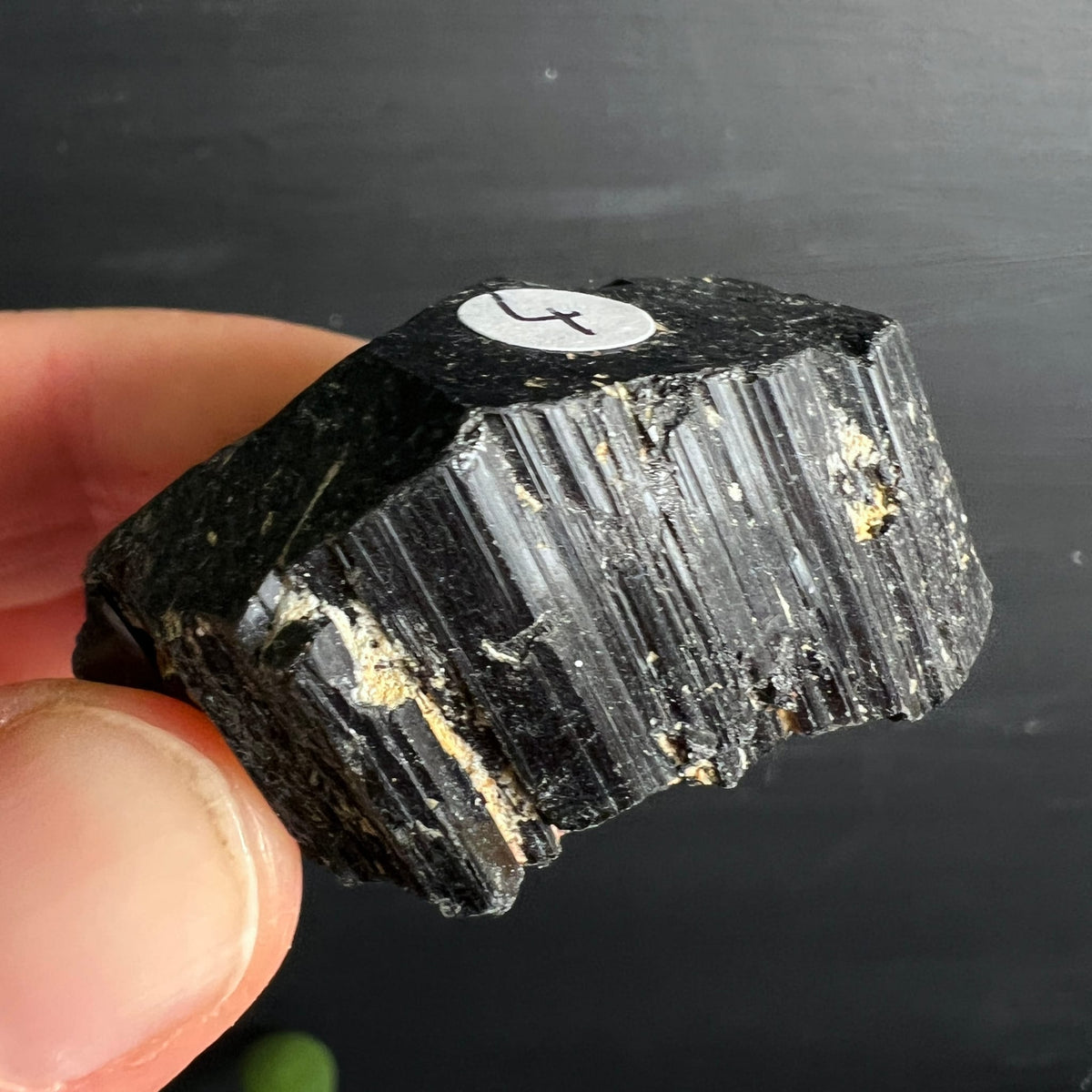 Schwarzer Turmalin, roh, tiefschwarz mit vertikalen Striemen, goldbeigen Einschlüssen und hexagonaler Querschnittsfläche | Happy Minerals