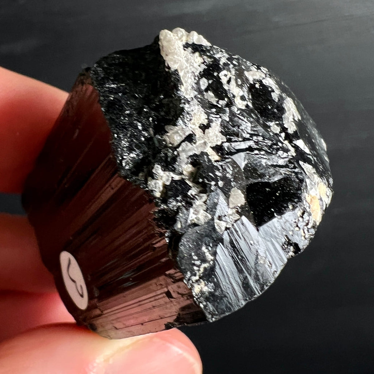 Schwarzer Turmalin Rohkristall, dunkelbraun-schwarz mit vertikalen Rippen, silbrig-weißer Matrix oben | Happy Minerals