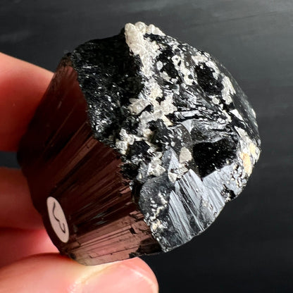 Schwarzer Turmalin Rohkristall, dunkelbraun-schwarz mit vertikalen Rippen, silbrig-weißer Matrix oben | Happy Minerals