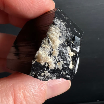 Schwarzer Turmalin Rohkristall, tiefschwarz mit Glasglanz, vertikalen Striemen und weiss-beigen Feldspat-Einlagerungen | Happy Minerals