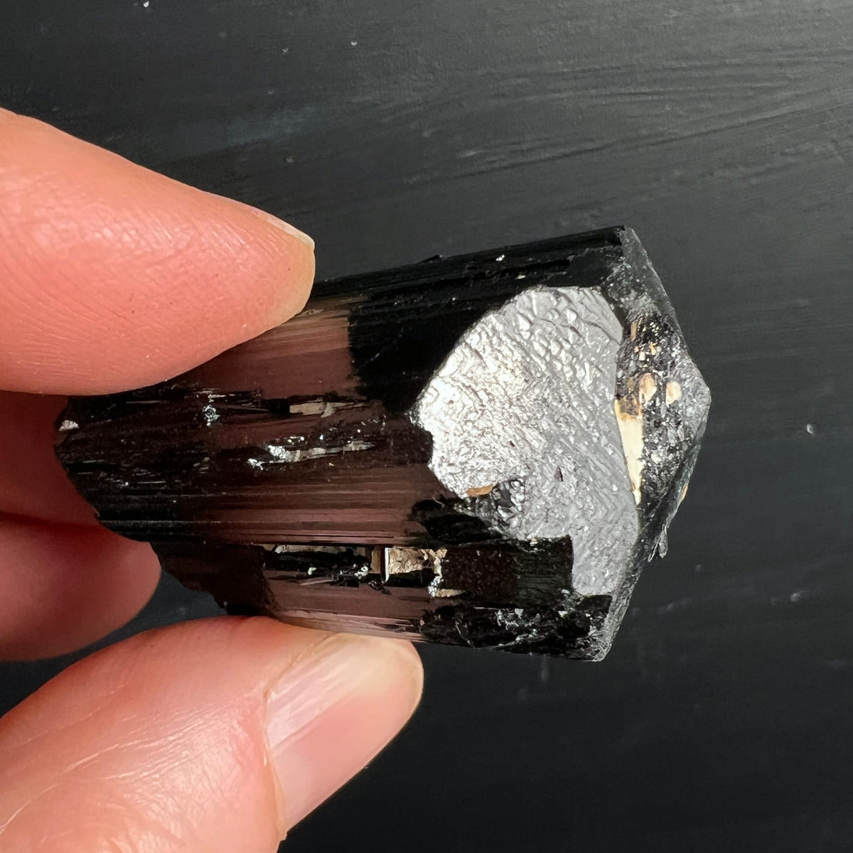 Schwarzer Turmalin Rohkristall mit vertikalen Rippen, silbrig-metallischem Terminations-Ende und dunkelbrauner Transparenz | Happy Minerals