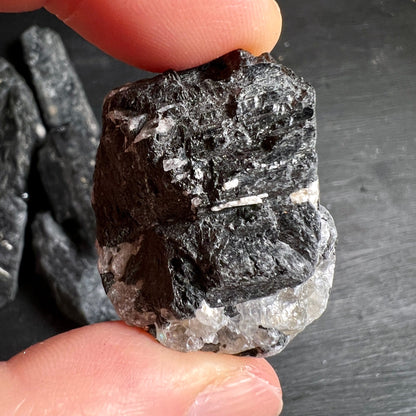 Schwarzer Turmalin Rohstein | Nahaufnahme | rötliche Einschlüsse | Finger | Brasilien | Happy Minerals
