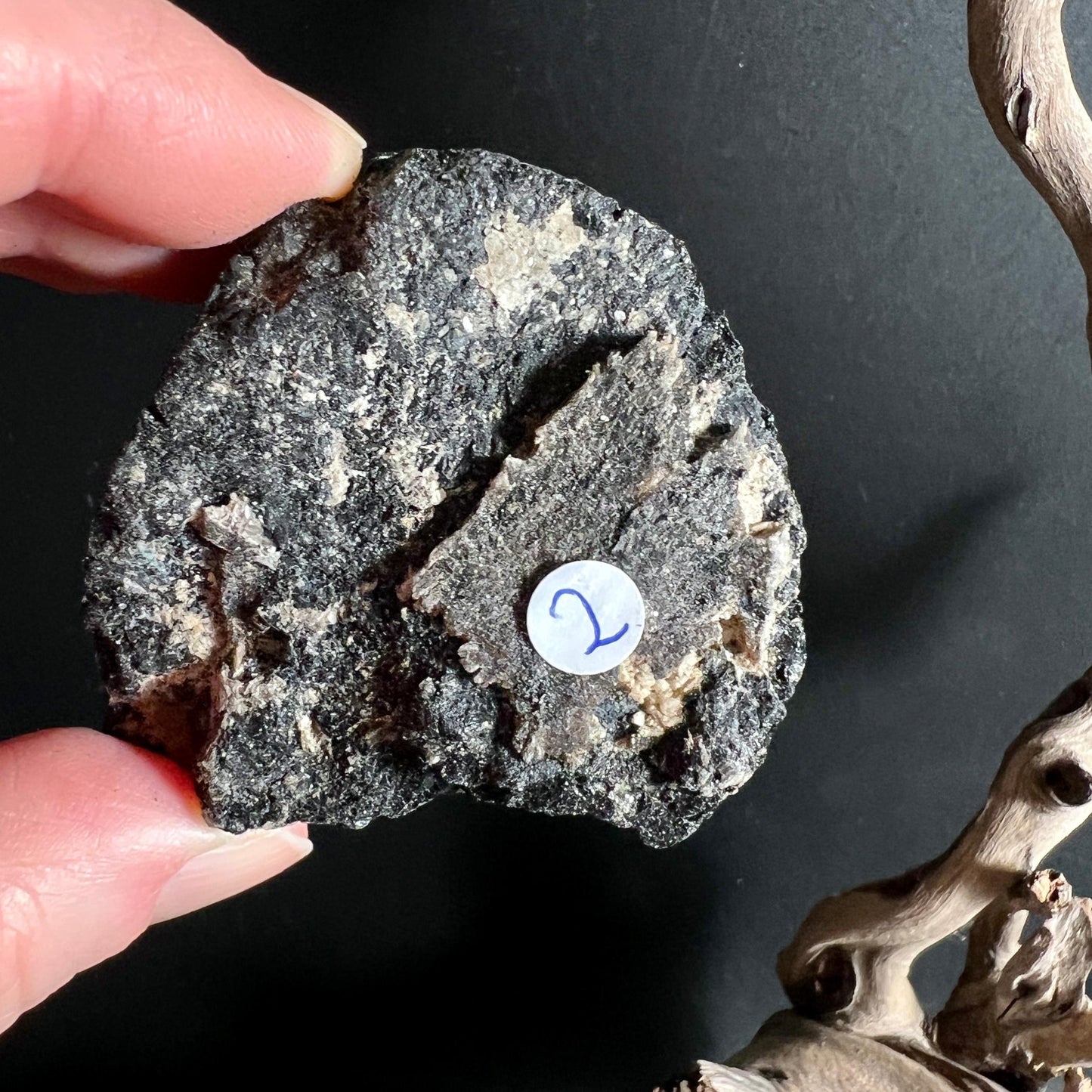 Kompakter schwarzer Turmalin Rohstein Nr 2 mit Muskovit Einschluessen