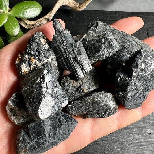Schwarzer Turmalin Rohsteine | Hand präsentiert | dunkle Kristalle | Brasilien | Happy Minerals