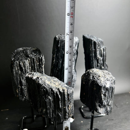 Schwarzer Turmalin Schörl Rohsteine | Größenvergleich Maßband | ca. 20 cm | Brasilien | Happy Minerals