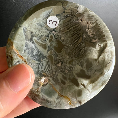 Sea Jasper, Orbicular Jaspis, Chalcedon Jaspis | Ansicht 11 | Happy Minerals