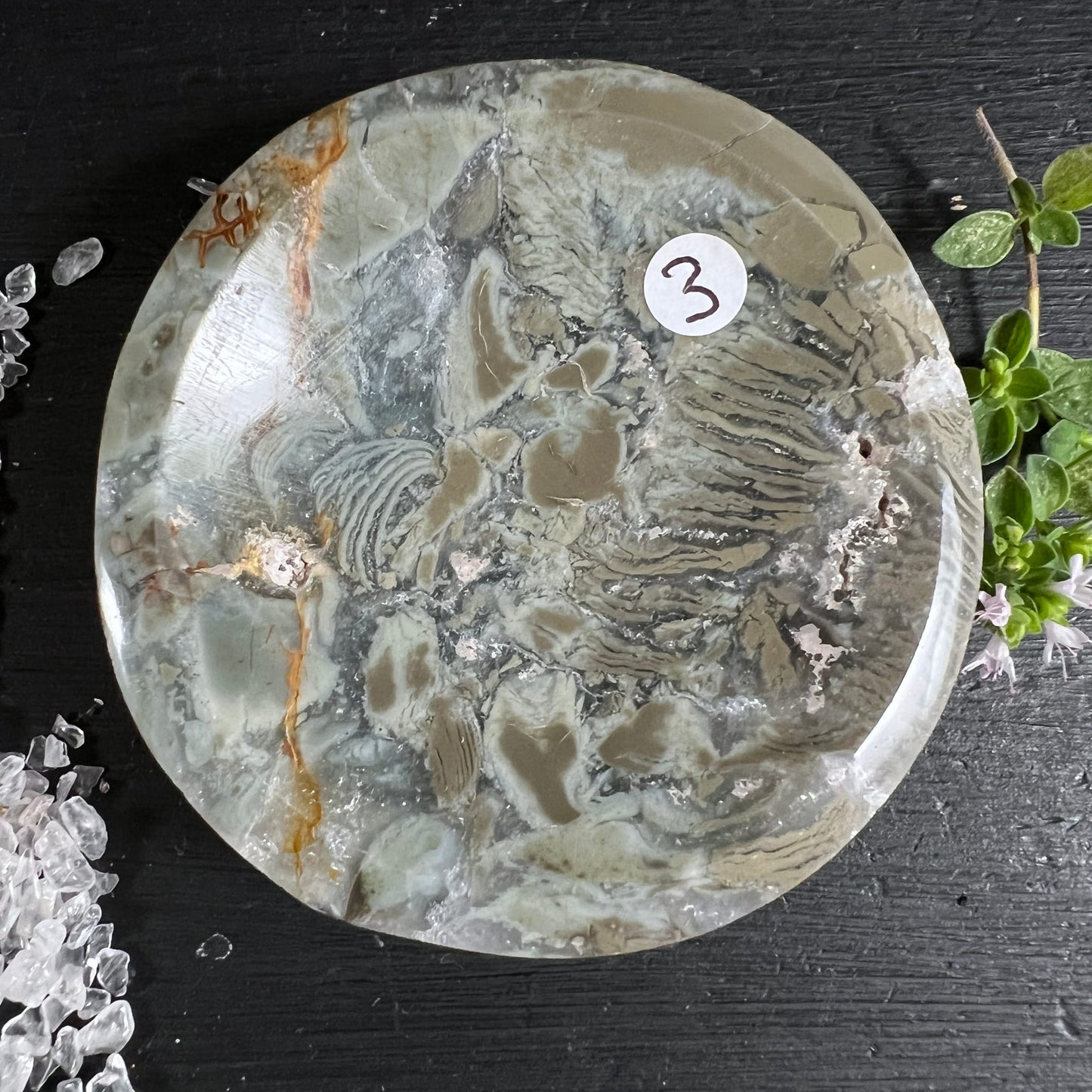 Sea Jasper Schale Variante 3 | hellgrau & beige & Ocker | fossile Muster | Draufsicht | Happy Minerals