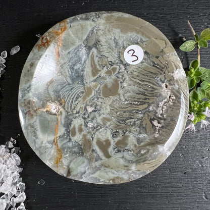 Sea Jasper Schale Variante 3 | hellgrau & beige & Ocker | fossile Muster | Draufsicht | Happy Minerals