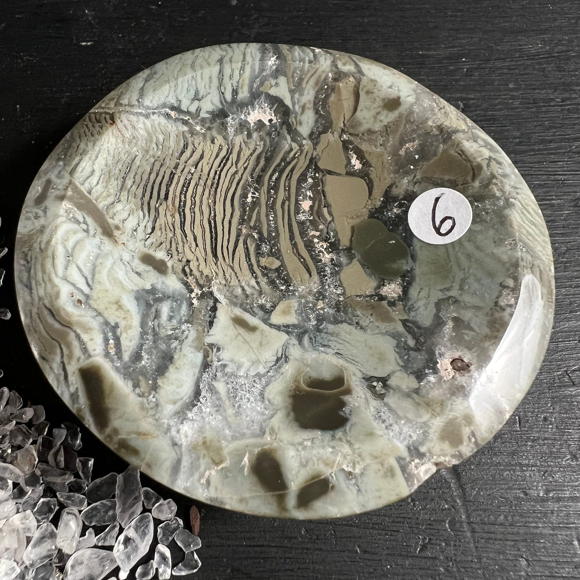 Sea Jasper Schale poliert, cremeweiss mit grauen Schlieren und dunklen Rippenmuster-Einschluessen | Happy Minerals