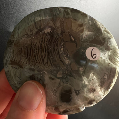Sea Jasper Schale rund poliert, olivgruen-graue Fluesse mit dunkelbraunen Fossilstrukturen und Rillen | Happy Minerals