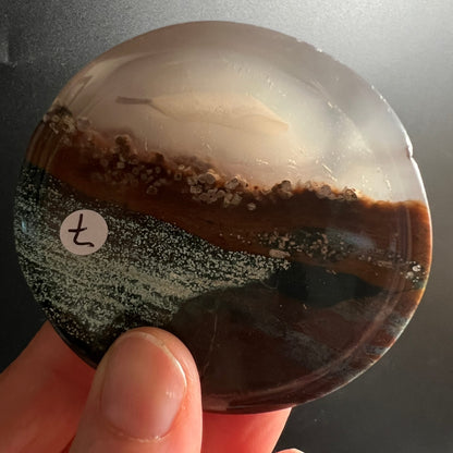 Sea Jasper Scheibe mit cremigem Band, rotbraunem Streifen und dunkelgruen gesprenkelter Zone, hochglanzpoliert | Happy Minerals