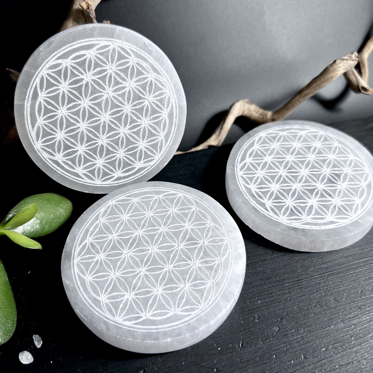 Selenitplatte mit gravierter Blume des Lebens heilige Geometrie aus Marokko reinweiß