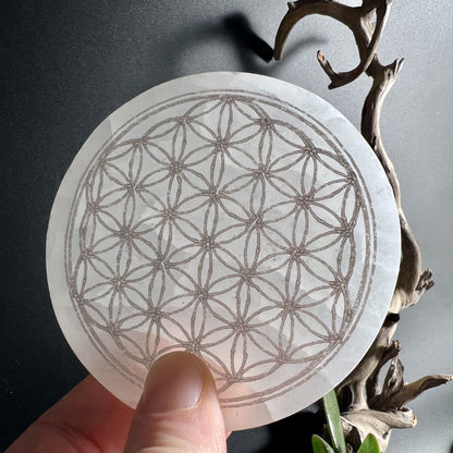 Selenitplatte Blume des Lebens als Mittelpunkt für Meditationsaltar stimmungsvoll