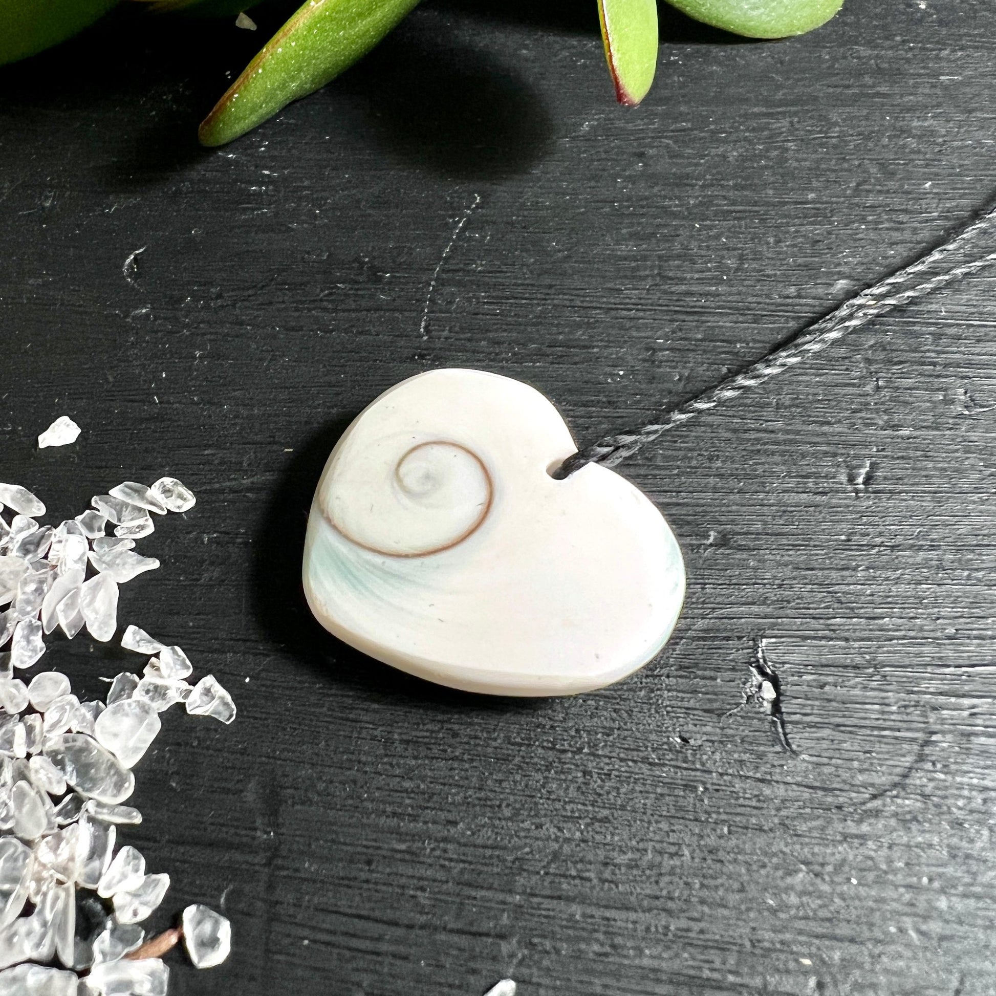 Shiva Auge Herz | natürliche Spirale | cremeweiß | Meeresschnecken-Deckel | Bali | Happy Minerals