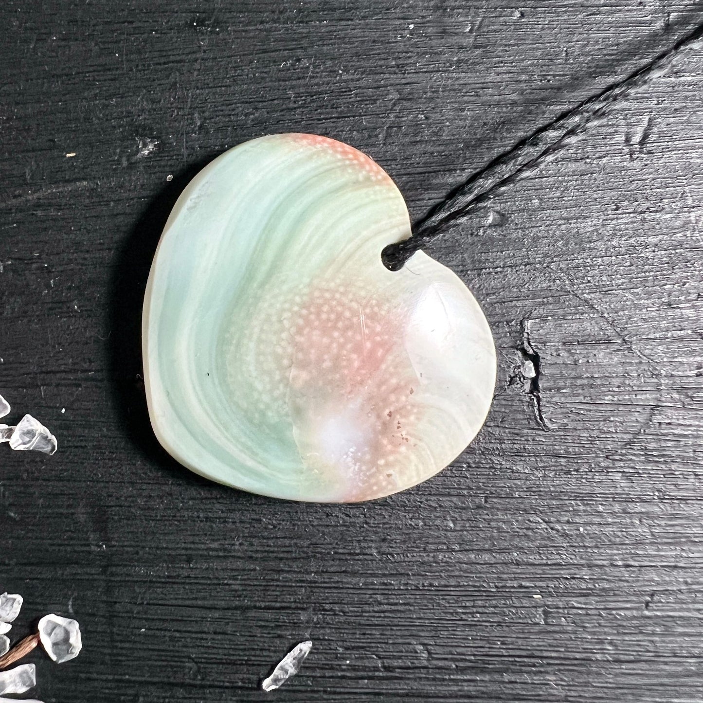 Shiva Auge Herz Rückseite | irisierend grün-rosa | Perlmutt-Glanz | Bali Meeresschnecken-Deckel | Happy Minerals