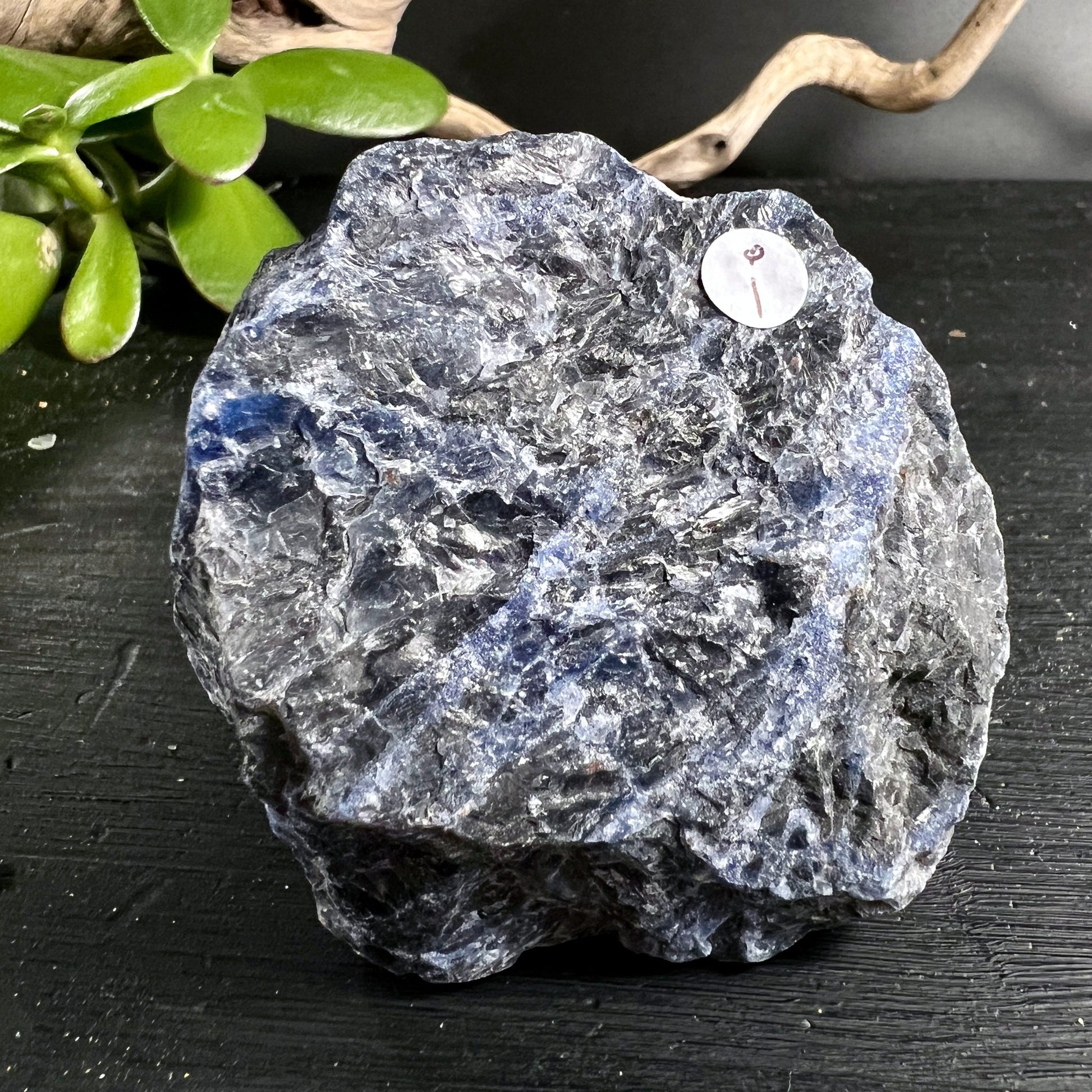 Sodalith | Ansicht 14 | Happy Minerals