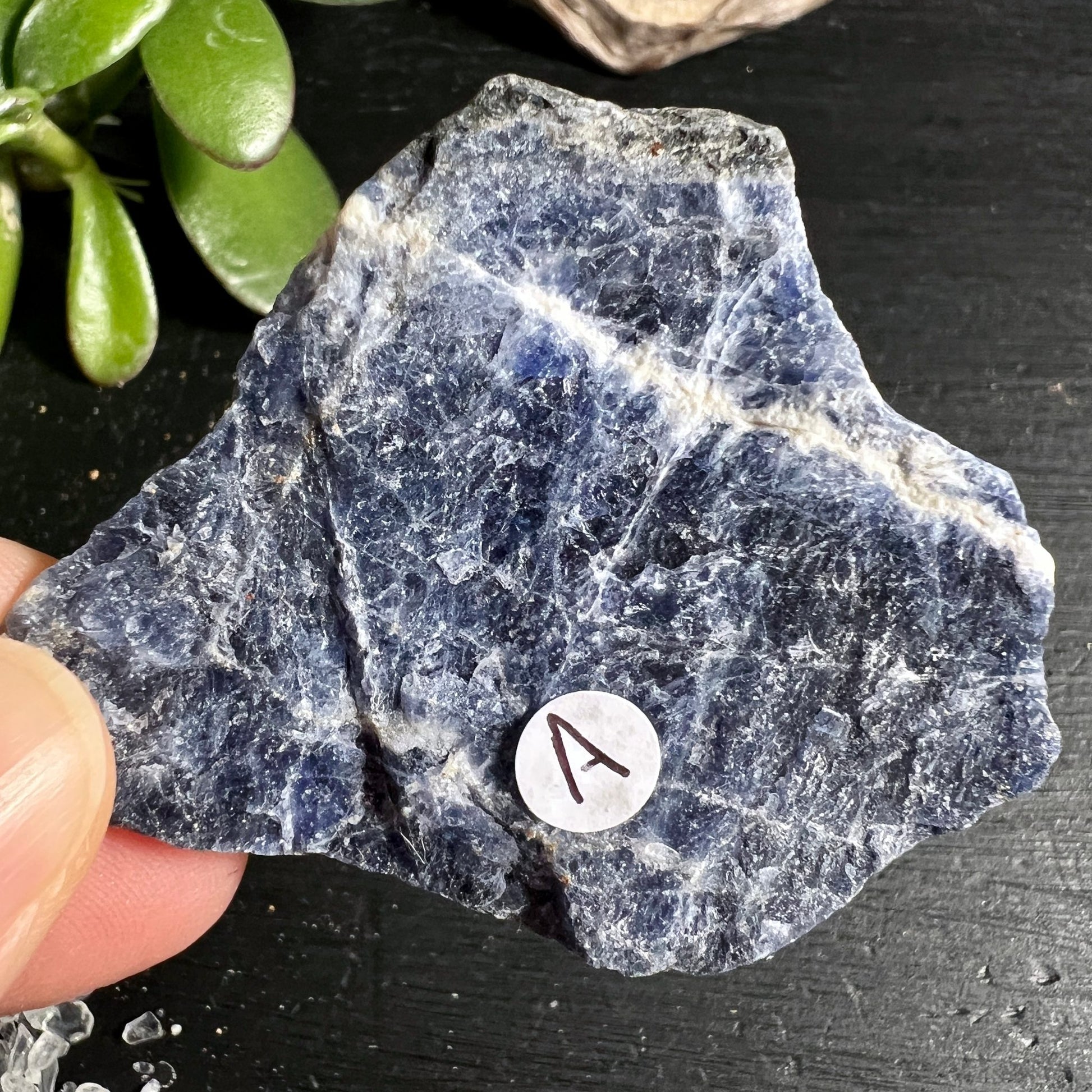 Sodalith Rohstein A Brasilien | intensive blaue Farbe | weisse Calcit Einschlüsse | Happy Minerals