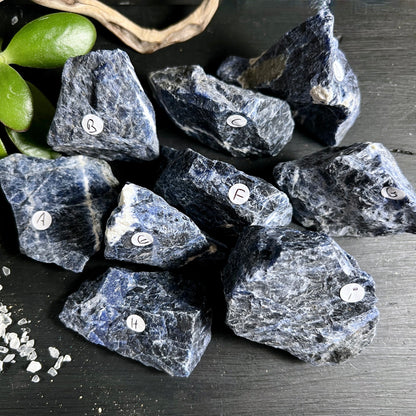 Sodalith Rohstein Brasilien | tiefblaue Kristalle | weisse Marmorierung | Etiketten A-H | Happy Minerals