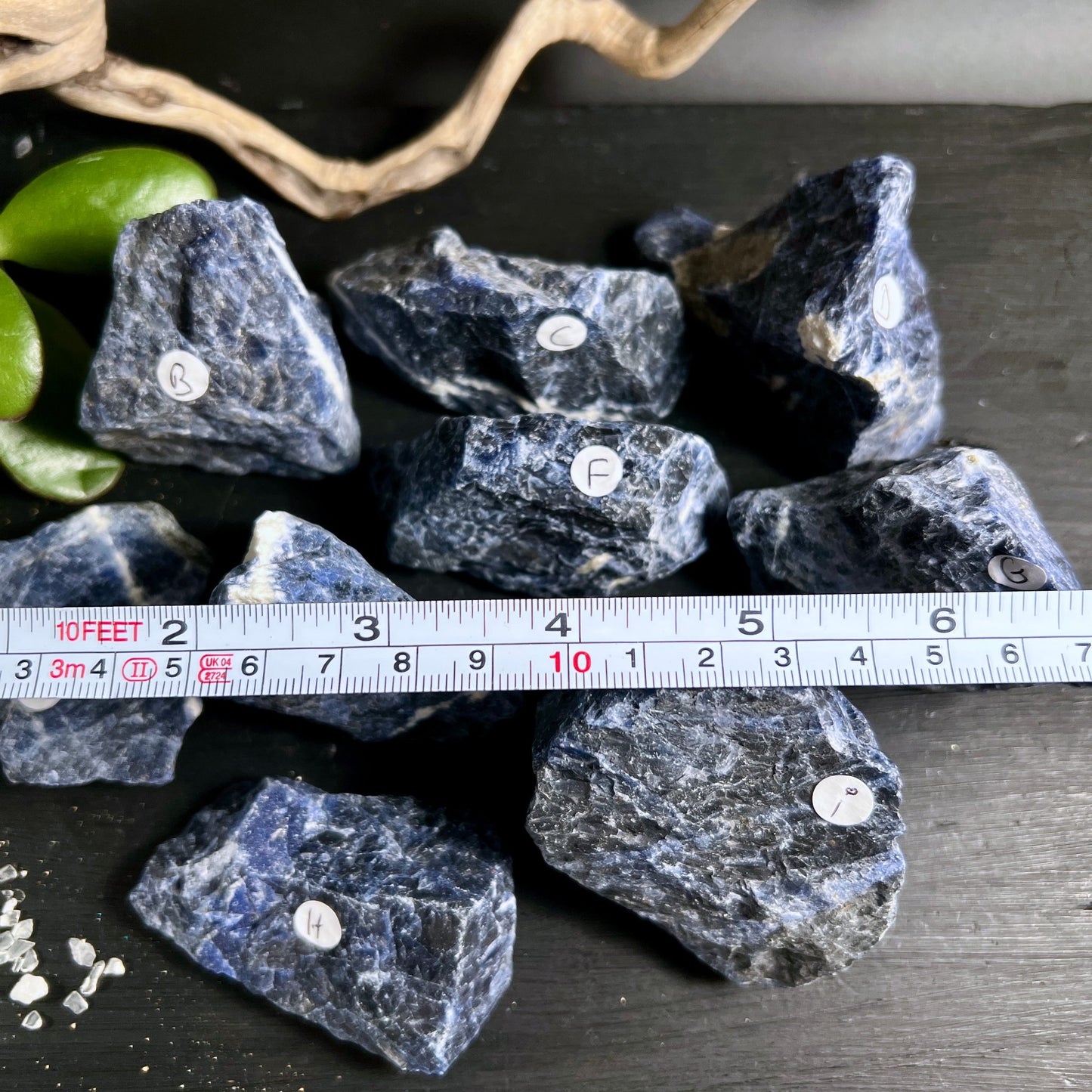 Sodalith Rohstein Brasilien | tiefblaue Kristalle | weisse Adern | Etiketten A-H | Happy Minerals