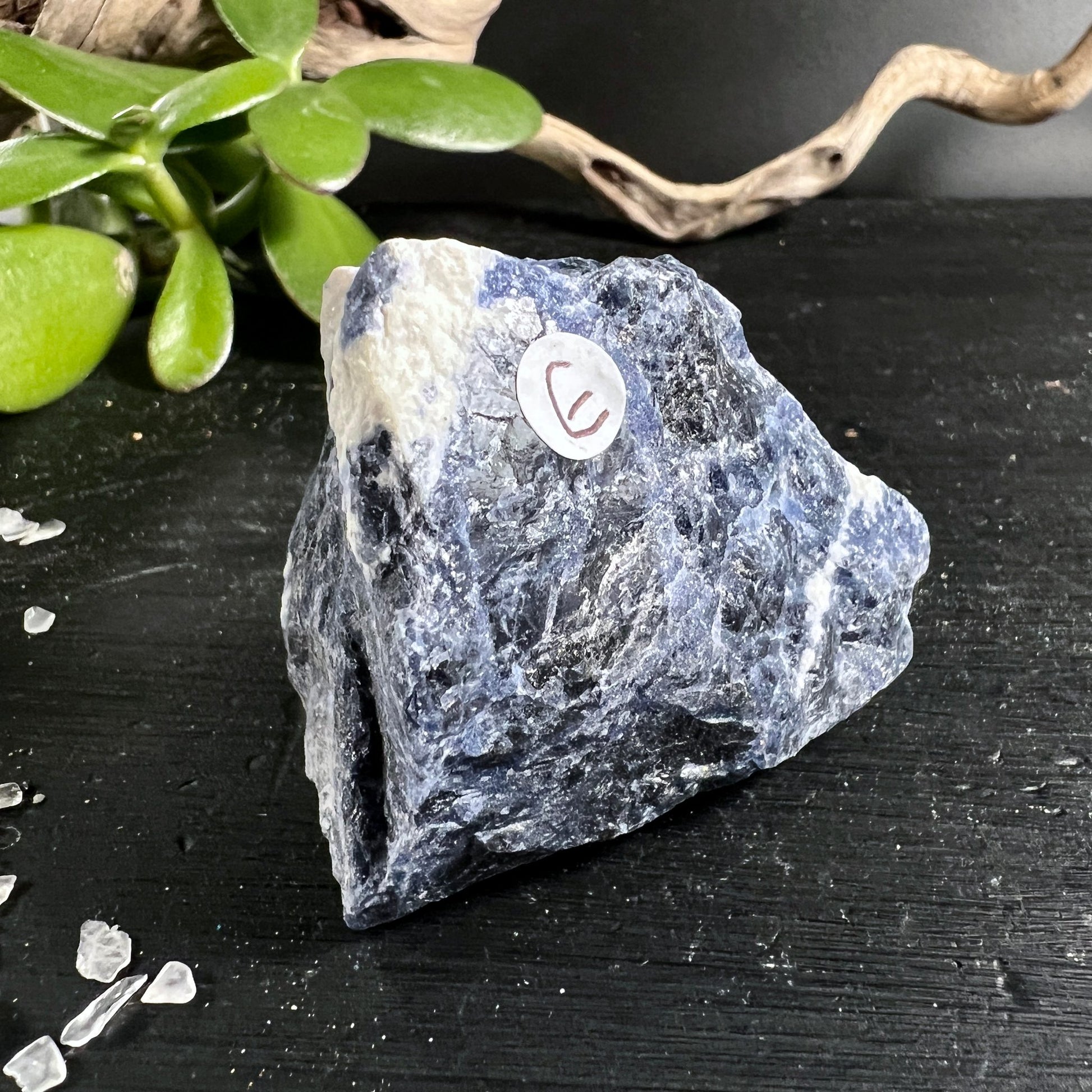 Sodalith Rohstein E Brasilien | dunkelblaue Matrix | weisse Calcit Einschluesse | raue Textur | Happy Minerals