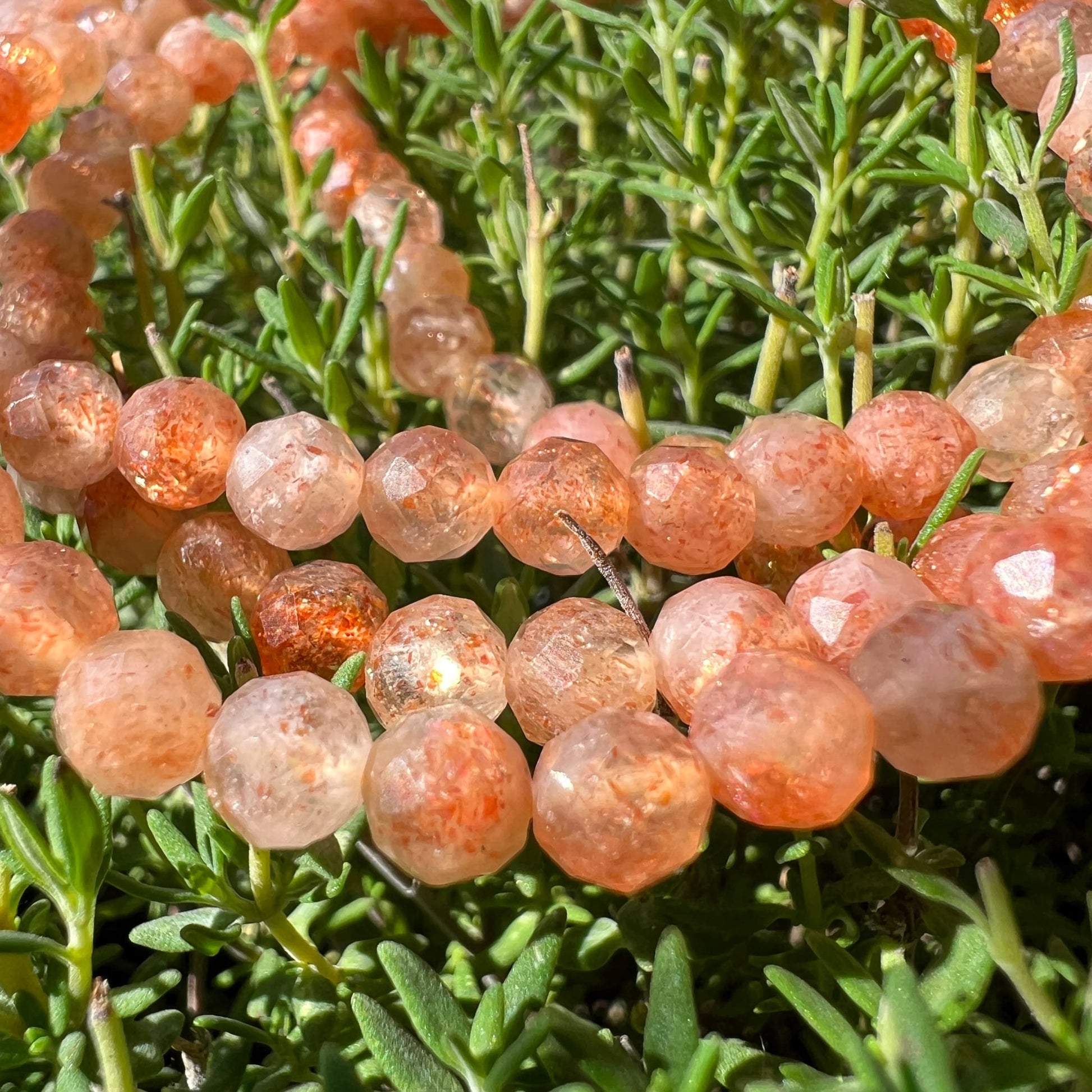 Sonnenstein Tansania | 4mm Perlen facettiert | Makro auf Kräuterpflanzen | warmes Orange | glitzernde Einschlüsse | Happy Minerals