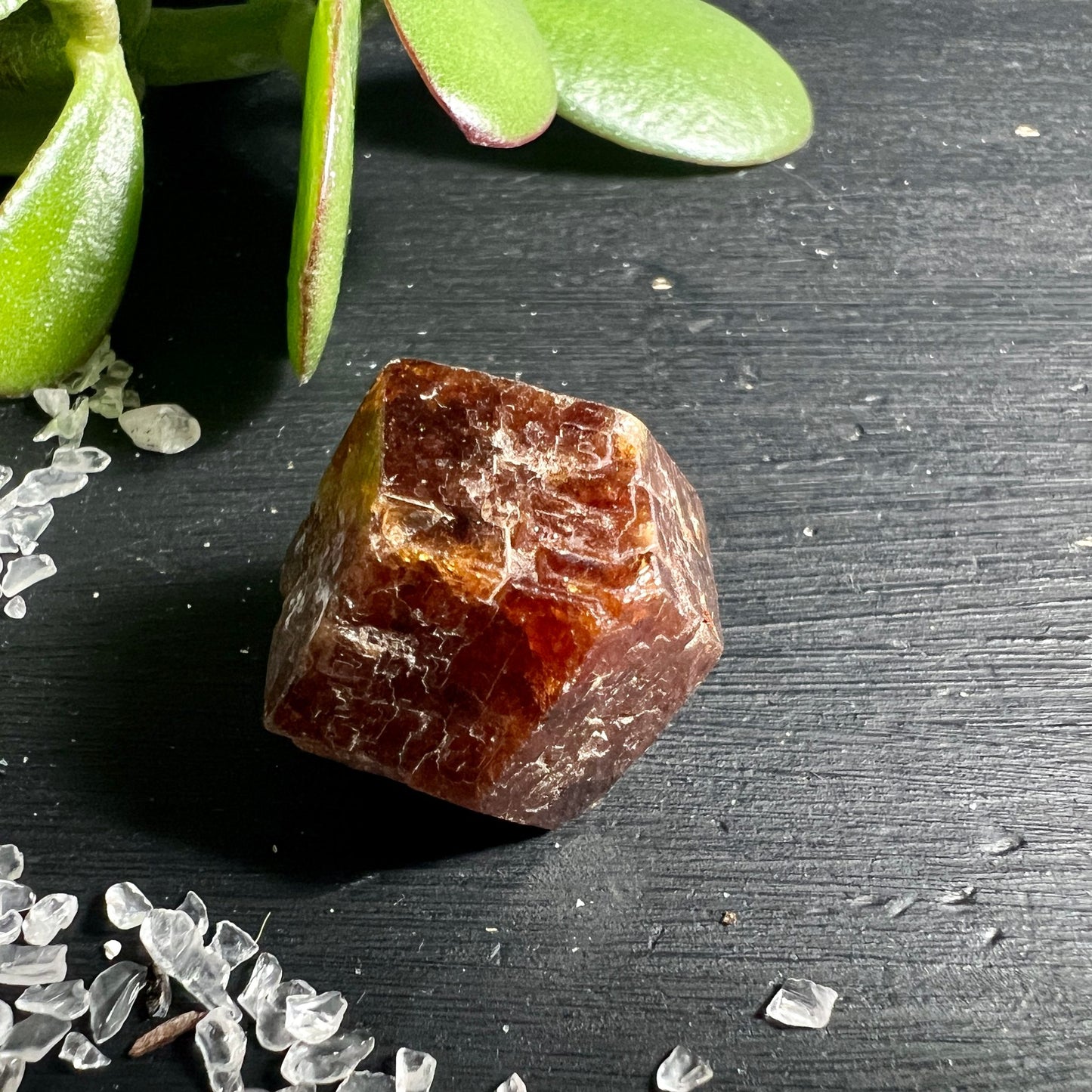 Spessartin Granat Mali | bernsteinfarbener Rohstein | Sukkulente Dekoration | natürliche Schönheit | Happy Minerals