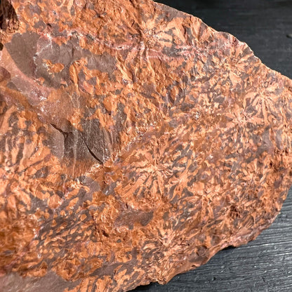 Sternjaspis Detail | feine Maserung | rostbraune Nuancen | natürliche Kristallstruktur | Happy Minerals