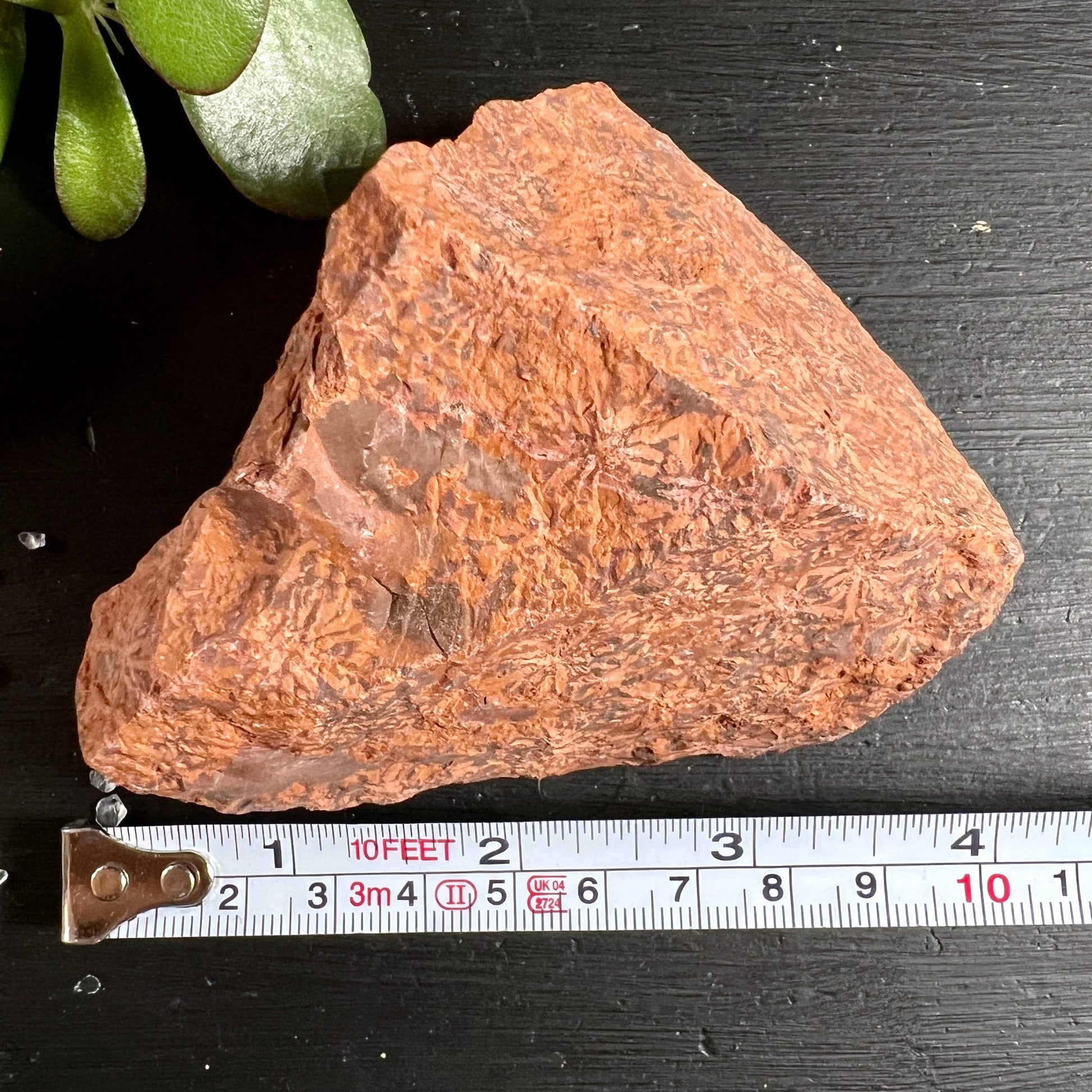 Star Jasper Größe | Maßband 10cm | rötlicher Rohstein | Sukkulente Dekoration | Happy Minerals