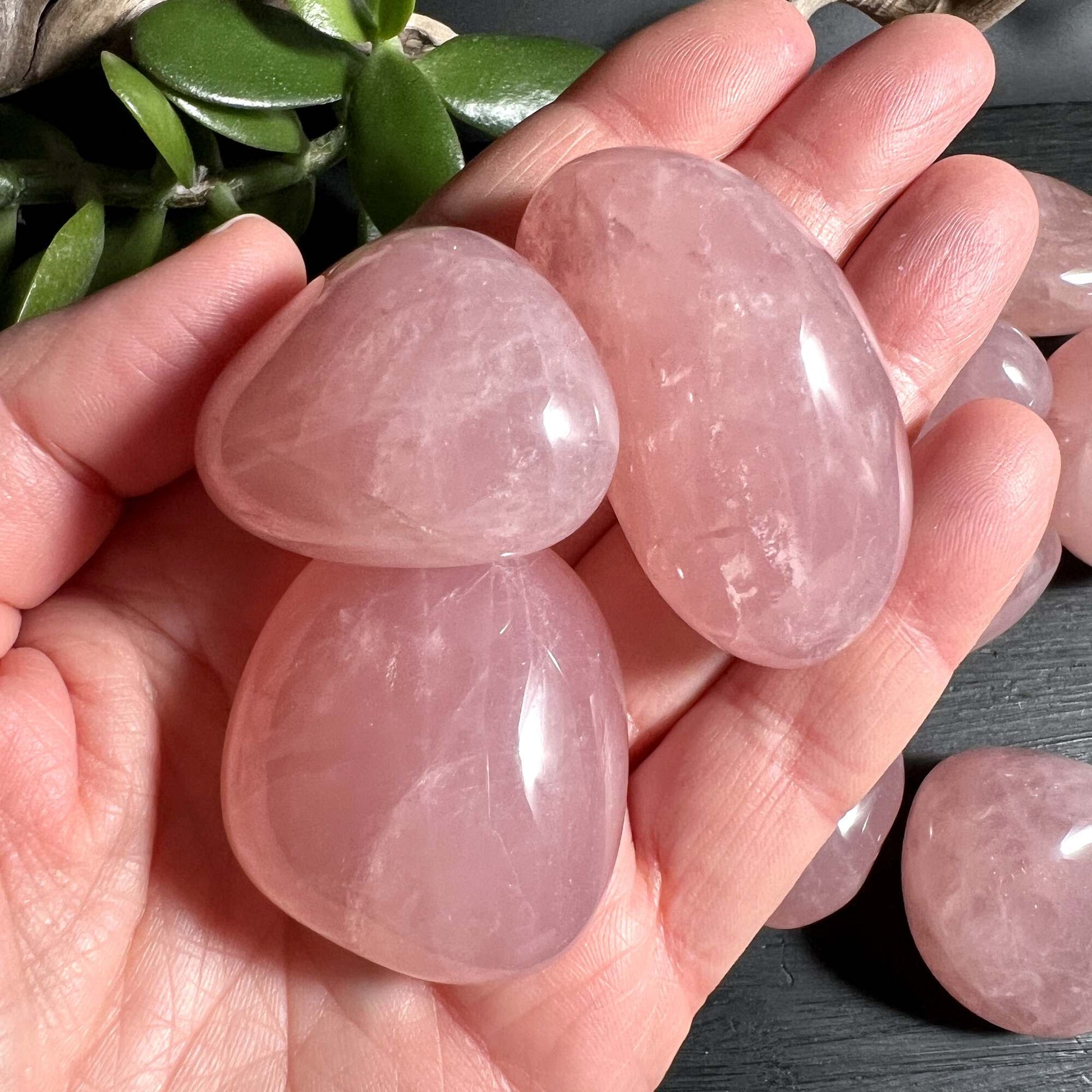 Drei Sternrosenquarz Handschmeichler in Handflaeche zartrosa Madagaskar